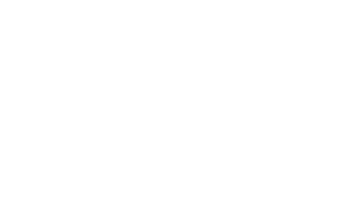 Swiss Cycling Logo
